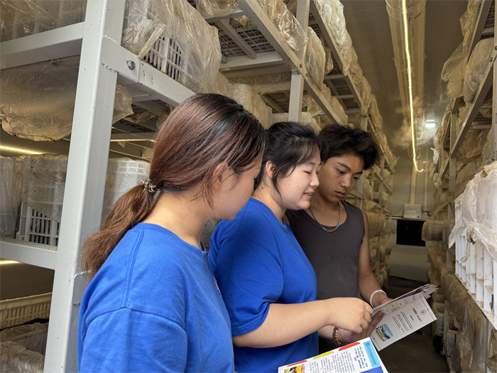 实践团成员在赤松茸智慧产业园开展对工作人员的普通话教学活动。四川文化产业职业学院文化商学院供图